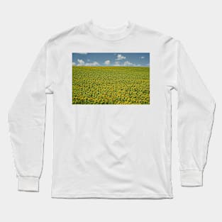 Sunflower field in the summer Long Sleeve T-Shirt